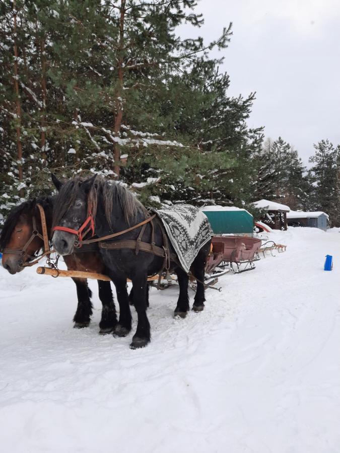 Farmstay Marianowka U Tesi Giby Kültér fotó